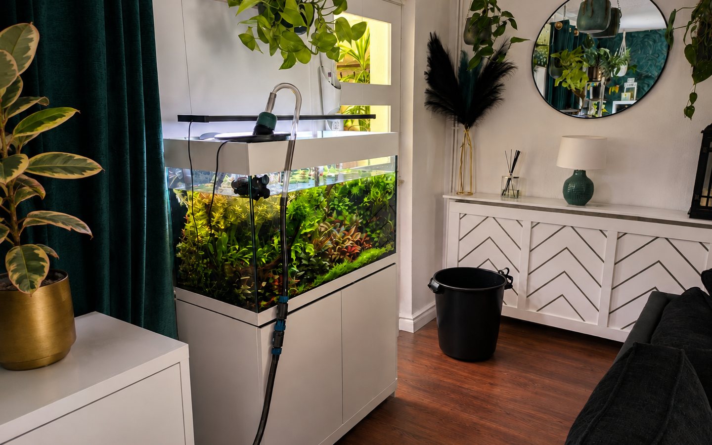 A planted home aquarium being maintained with water-change equipment and buckets beside it.